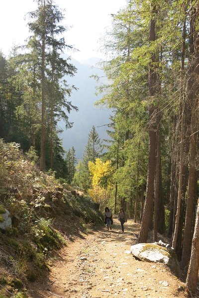 Ahrntal020.jpg -                                
