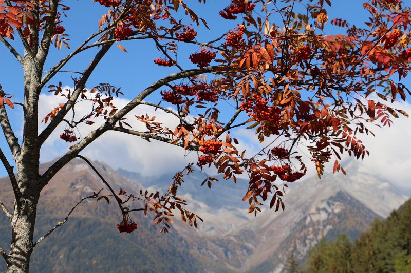 Ahrntal052.jpg