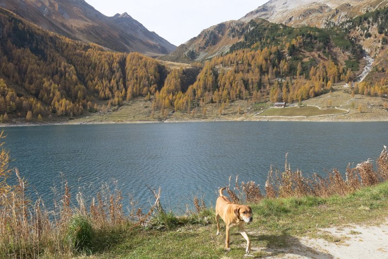 Ahrntal062.jpg -                                