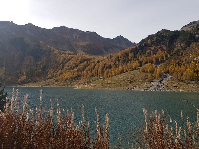 Ahrntal092.jpg