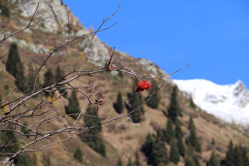 Ahrntal144.jpg