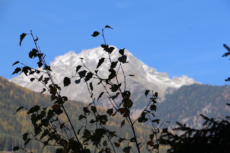 Ahrntal171.jpg