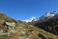 Ahrntal119