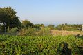 IMG_0032