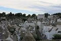IMG_0135