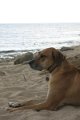 IMG_0204