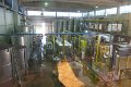 IMG_0317