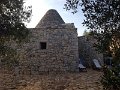 IMG_1175