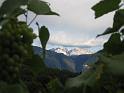 IMG_0020
