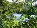 IMG_0047