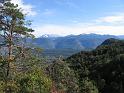 IMG_0055