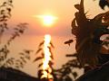 IMG_4282
