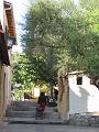 IMG_4363