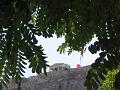IMG_4431
