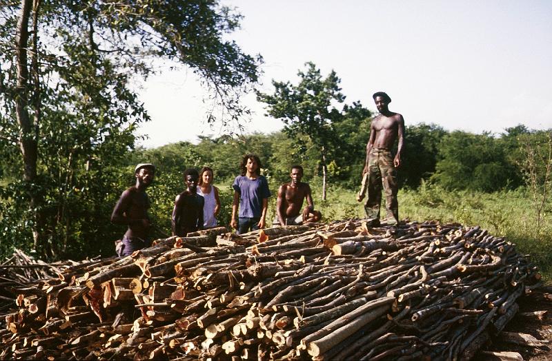 Jamaika0430.jpg