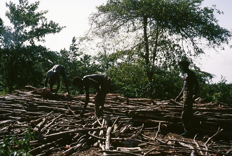 Jamaika0440.jpg