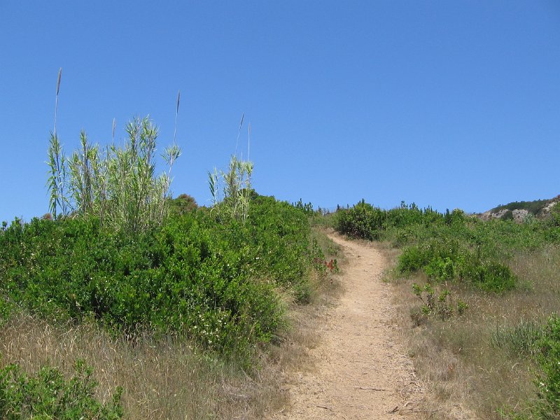 IMG_8563.JPG
