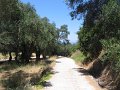 IMG_8473