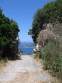 IMG_8475