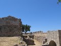 IMG_8496