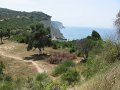IMG_8528
