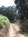 IMG_8531