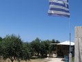 IMG_8578