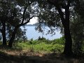 IMG_8580