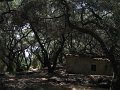 IMG_8581