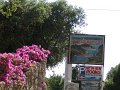 IMG_8582