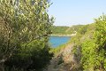 IMG_0004