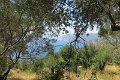 IMG_0040