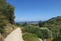 IMG_0045