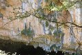 IMG_0059