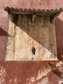 IMG_2960