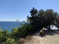 IMG_2992