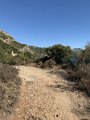 IMG_2996