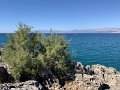 IMG_3036
