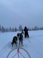 Lappland00067