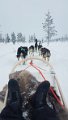 Lappland00109