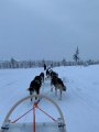 Lappland00117