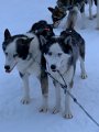Lappland00127