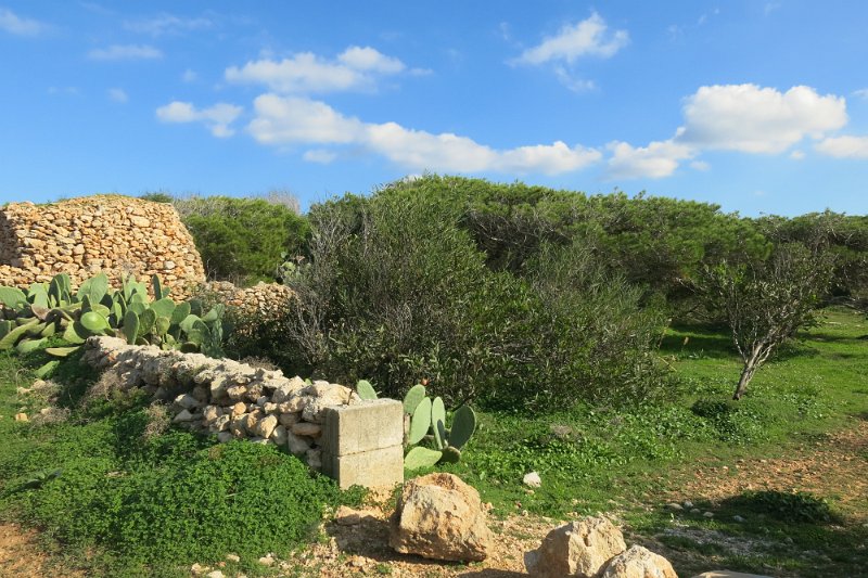 Malta299.jpg -                                