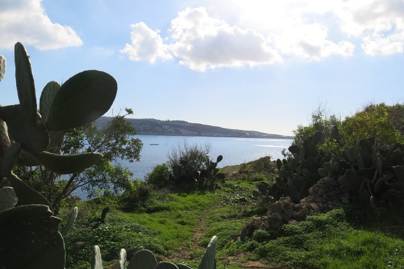 Malta306.jpg -                                