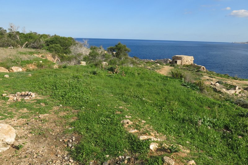Malta307.jpg -                                