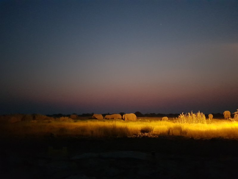 20170912_191530.jpg