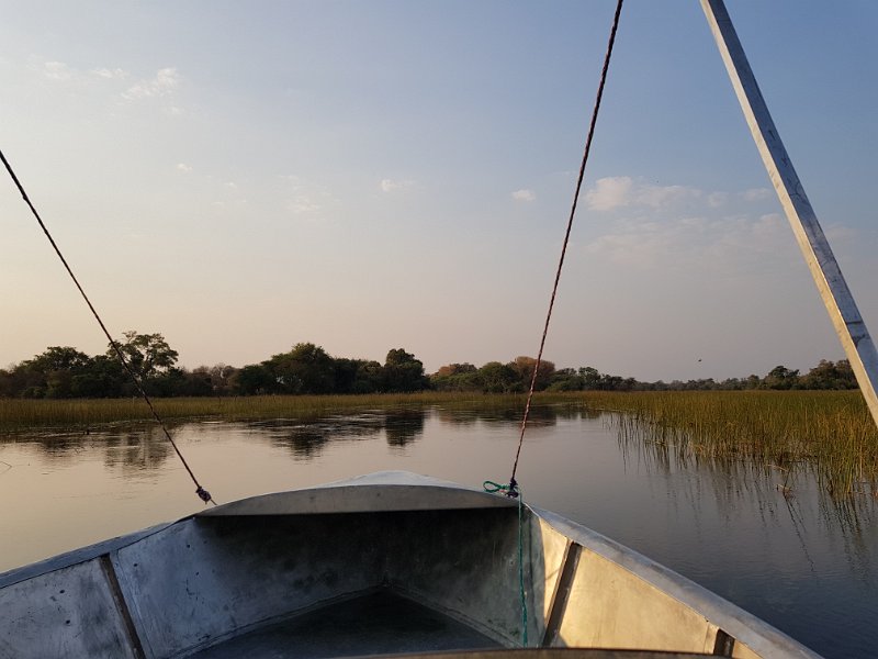 20170921_173054.jpg