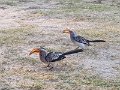 20170920_072151