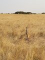 20170920_165012