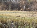 20170921_165703
